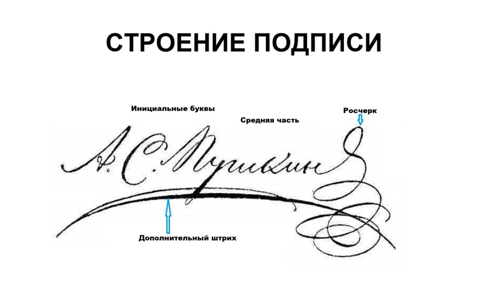 Из каких частей состоит подпись